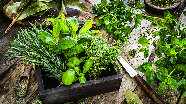 variety of fresh herbs