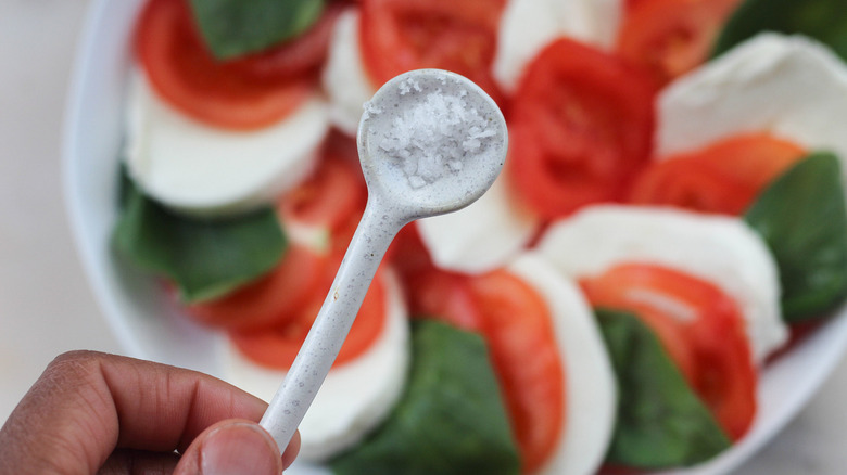 fresh tomato and mozzarella salad