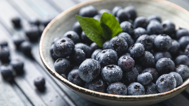 bowl of fresh blueberries