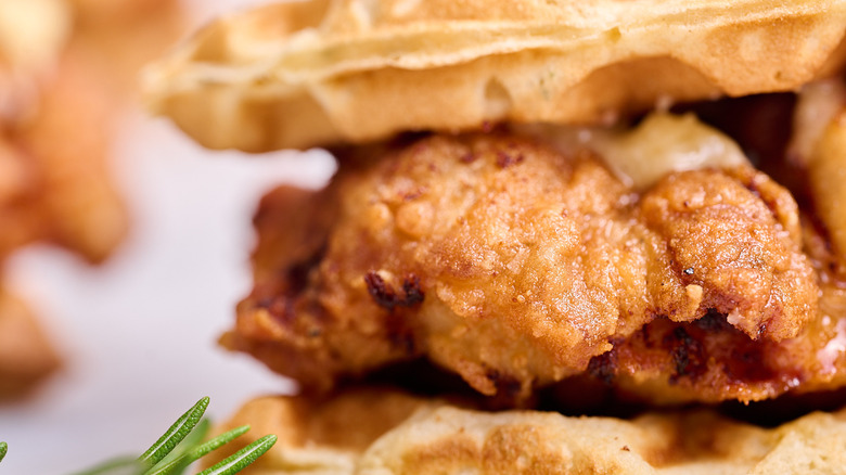 close up of fried chicken