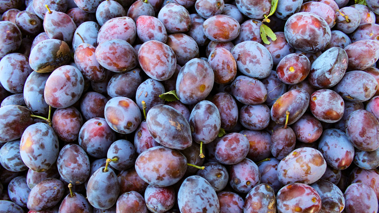 A collection of plums