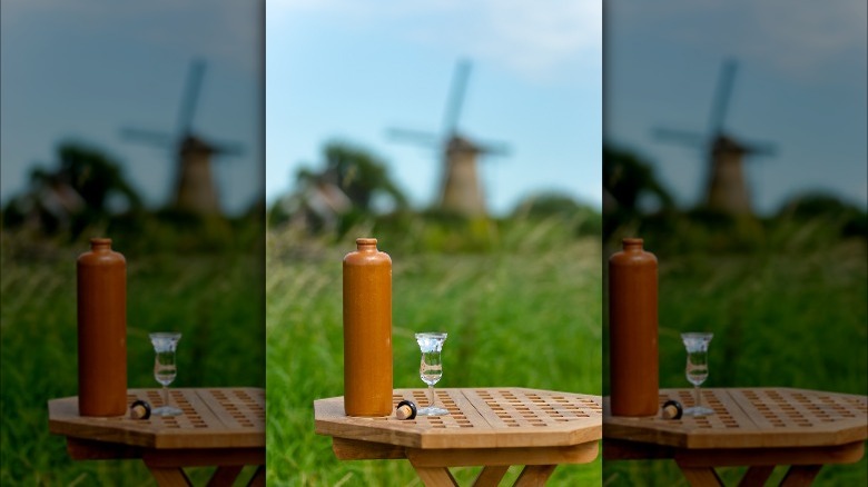 dutch bottle of genever