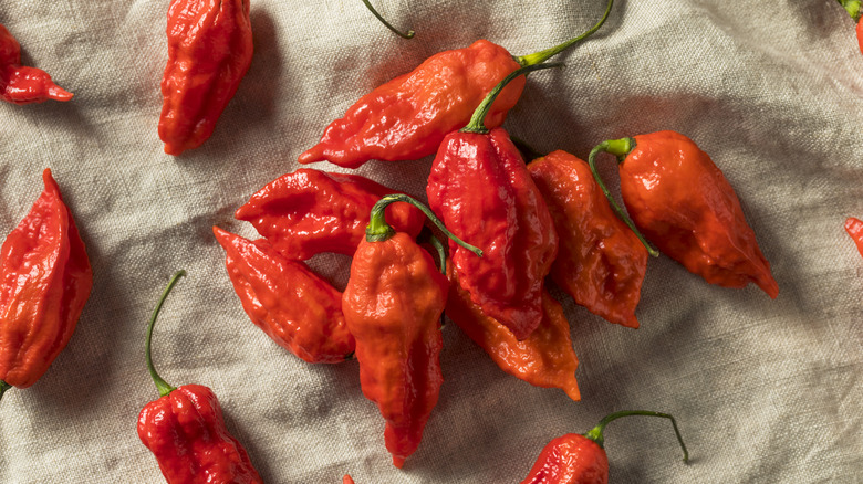 Ghost peppers