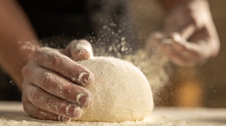 Fresh pasta dough