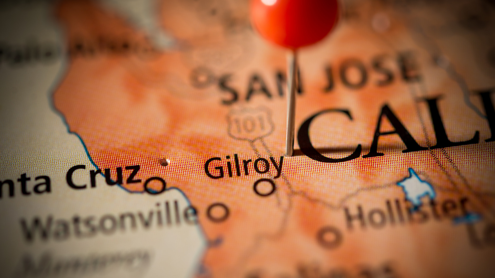 Gilroy, California Is Known As The 'Garlic Capital Of The World'