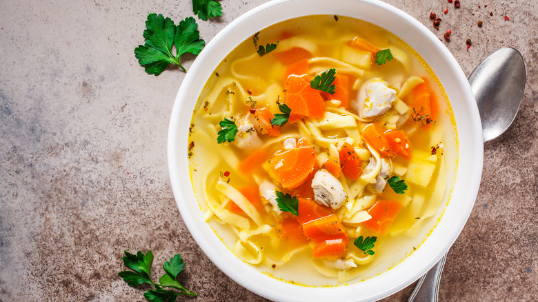 chicken noodle soup with parsley