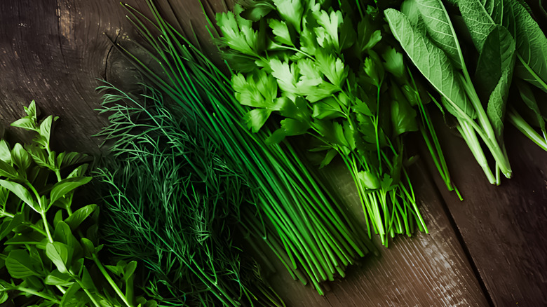 Bundles of fresh herbs on wooden table