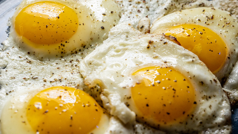 Close-up of fried eggs