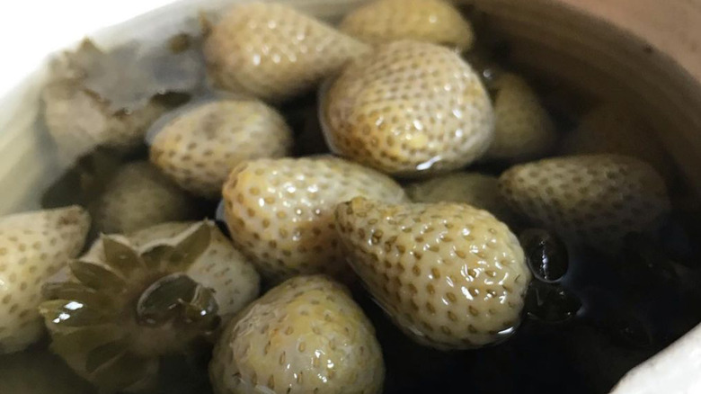 green strawberries in pickling brine