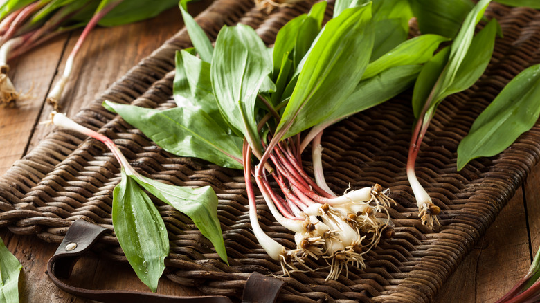 raw trimmed ramps