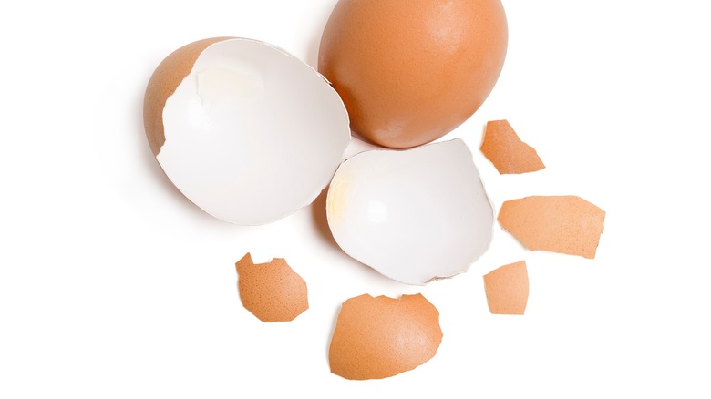 egg shells on white background