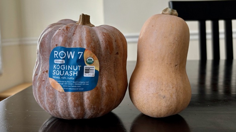 Row 7's Honeypatch and Koginut squash side by side on table