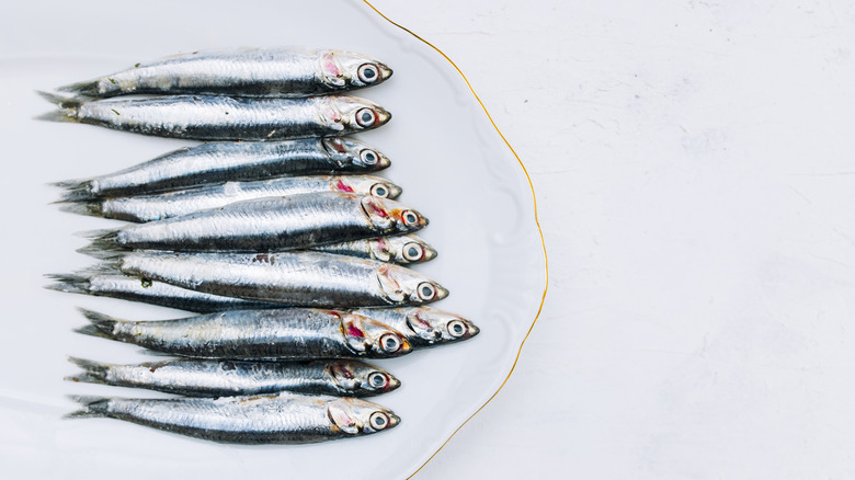 Plate of anchovies