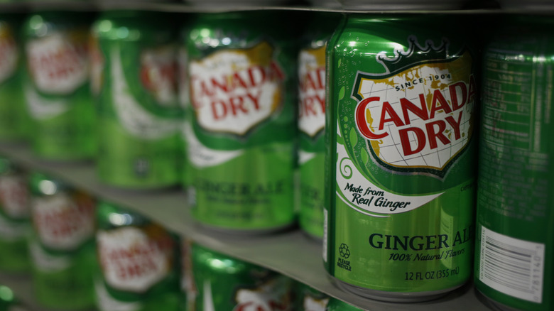 Canada Dry cans on shelf