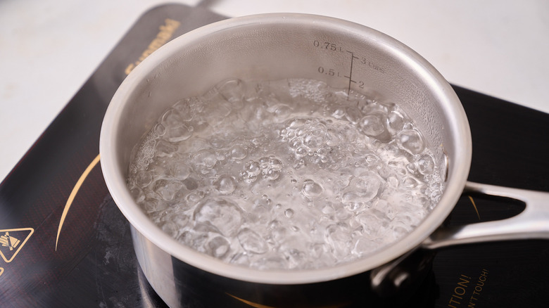 boiling water in pot