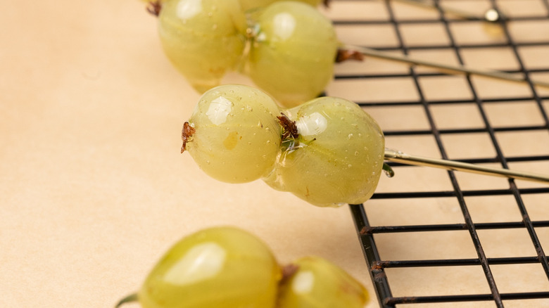 candied gooseberry cocktail garnishes