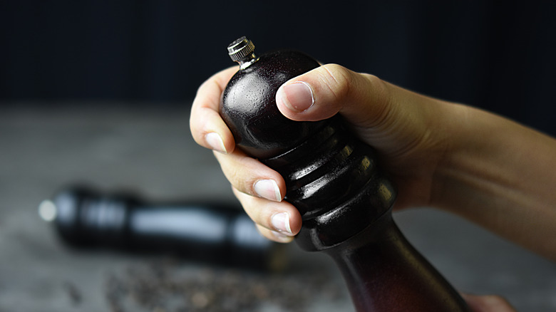 Hand holding a pepper mill