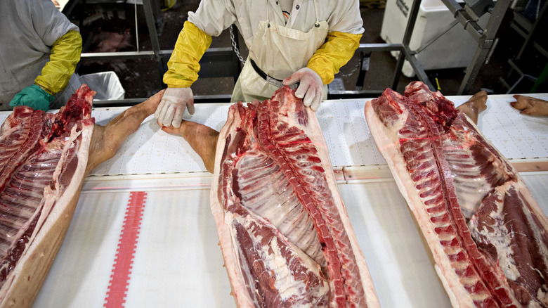 workers at meat processing plant