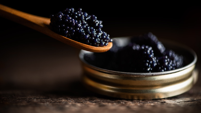 A wooden spoon holds caviar with a tin of caviar in the background.