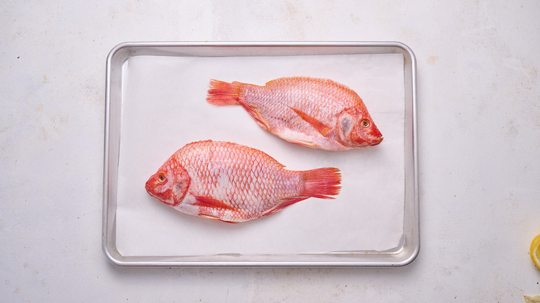 tilapia on sheet tray