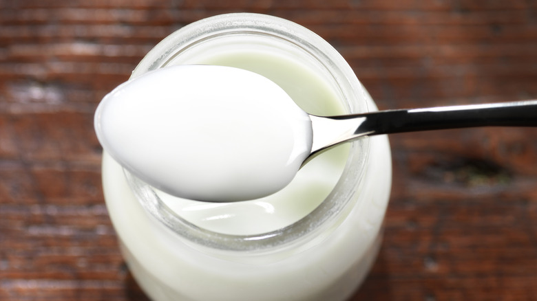 Semi-thick yogurt on a spoon