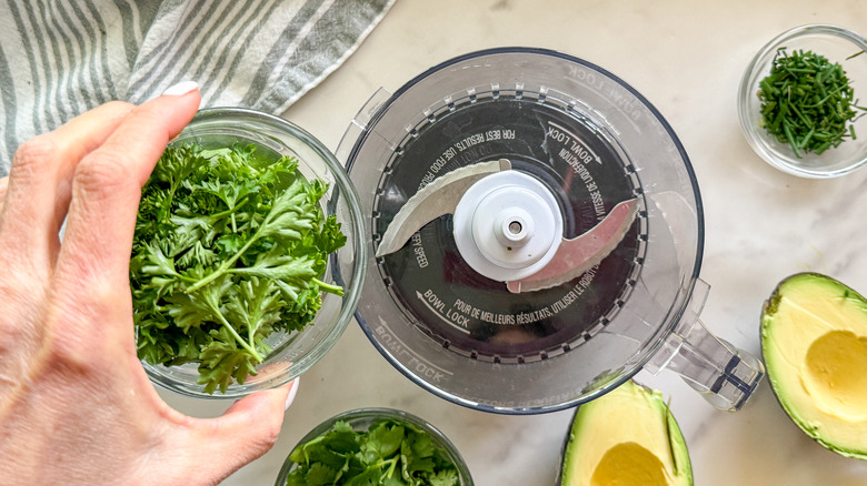 hand adding parsley to food processor