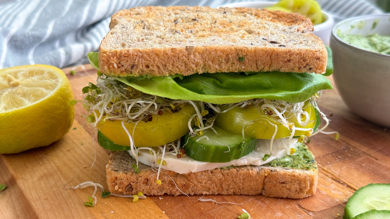 vegetable sandwich with tomato and cucumber