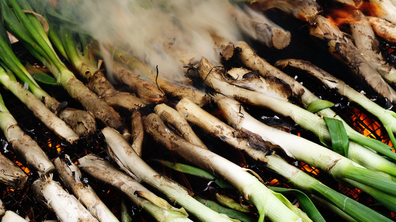 spring onions smoking over a grill