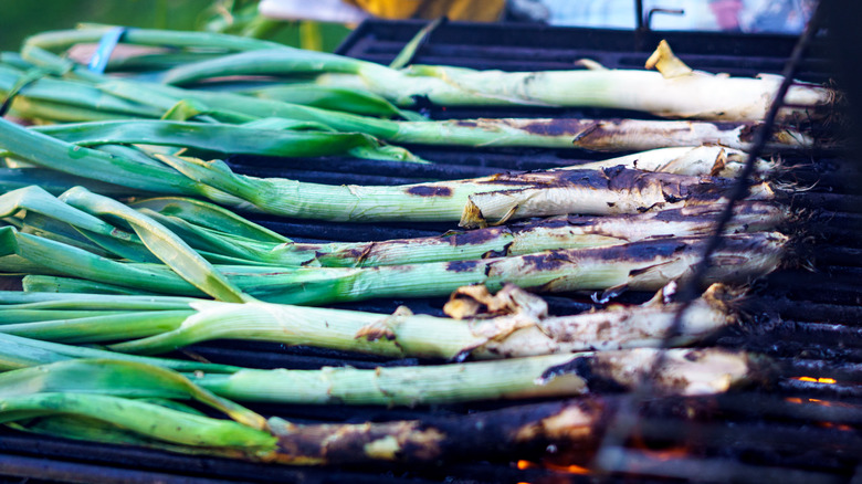 Green onions on the grill