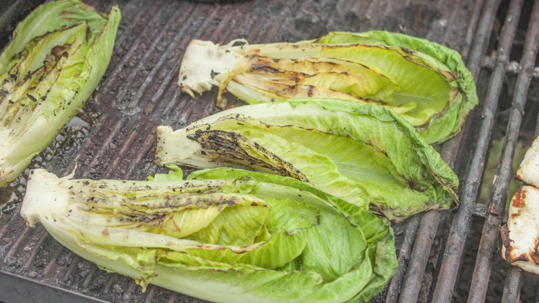 Grilled romaine lettuce