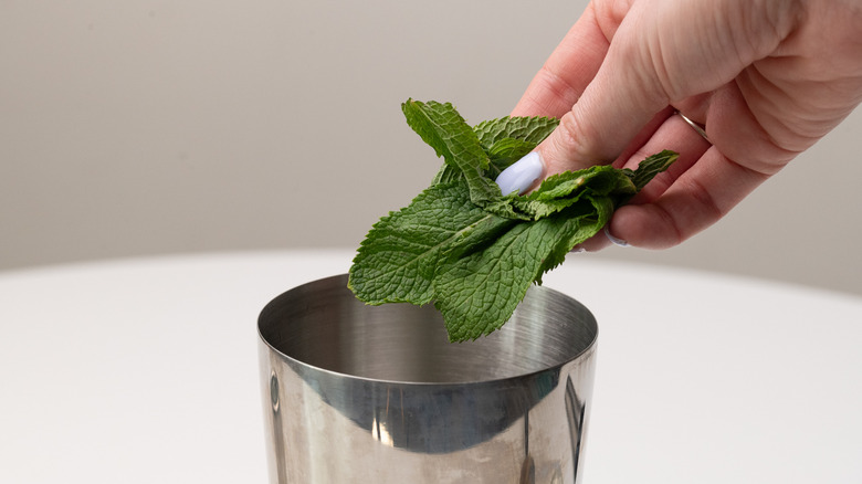 adding mint to cocktail shaker
