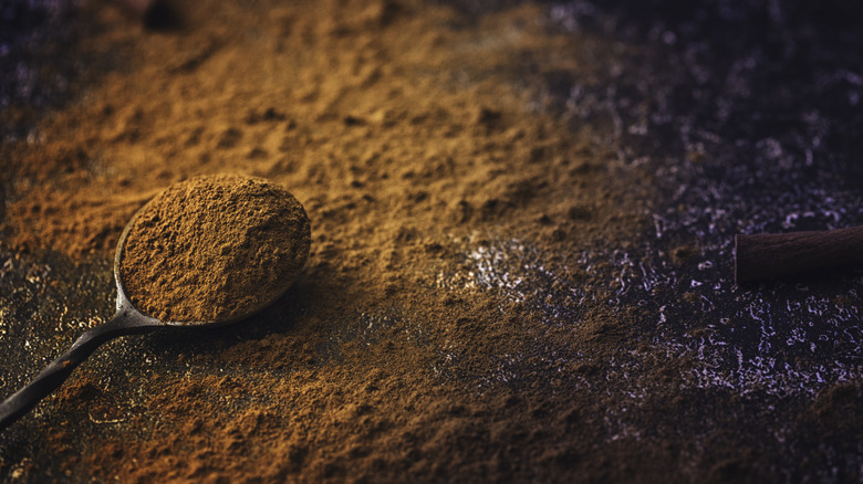 A spoonful ground cinnamon on counter 