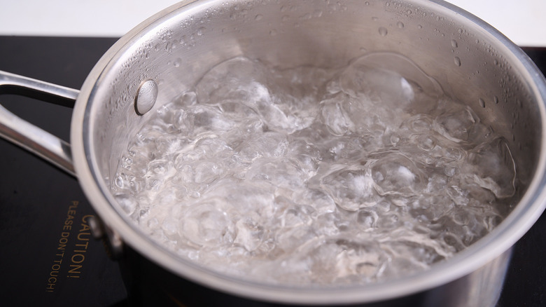 water boiling in pot