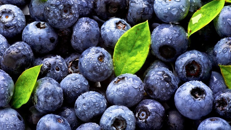 Fresh blueberries and leaves