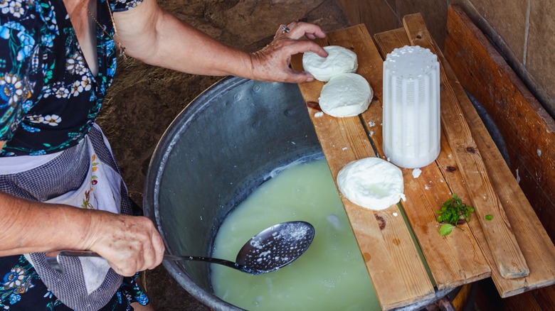 making halloumi cheese