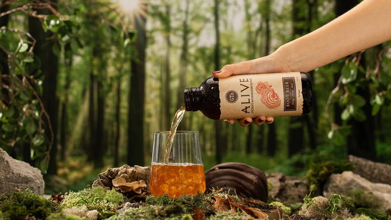 Person pouring GT's Alive Ancient Mushroom Elixir into a glass cup on the ground in the forest