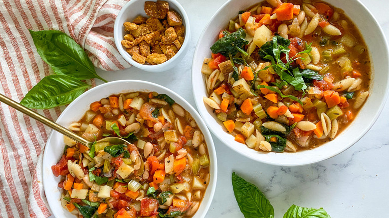 hearty minestrone soup in dish 