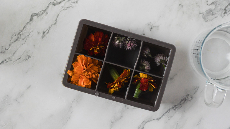 A tray of ice cubes with flowers