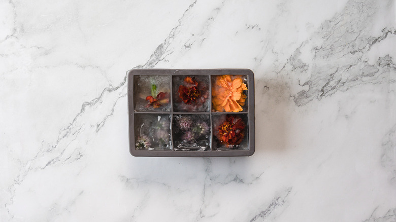 A tray of frozen ice cubes with flowers