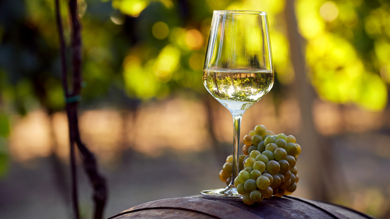 Glass of white wine with grapes