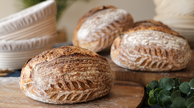 perfectly scored loaves of bread