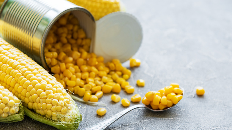 Opened can of corn with spoon and cobs