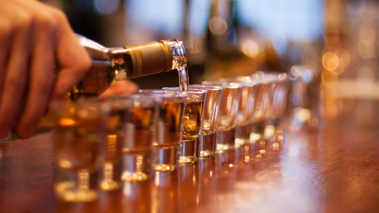 Bartender pouring a row of shots