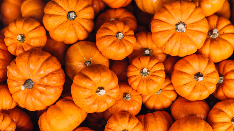 A collection of pumpkins.