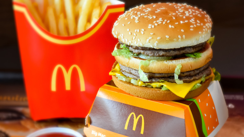 A Big Mac beside McDonald's fries