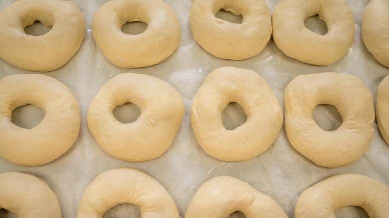 Tray of proofing bagels