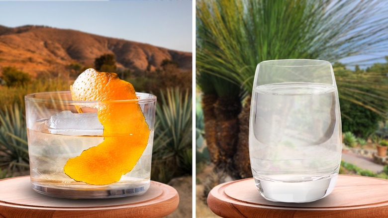 Mezcal and sotol side by side with desert in the background