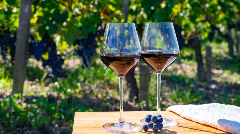 glasses of Bordeaux in vineyard