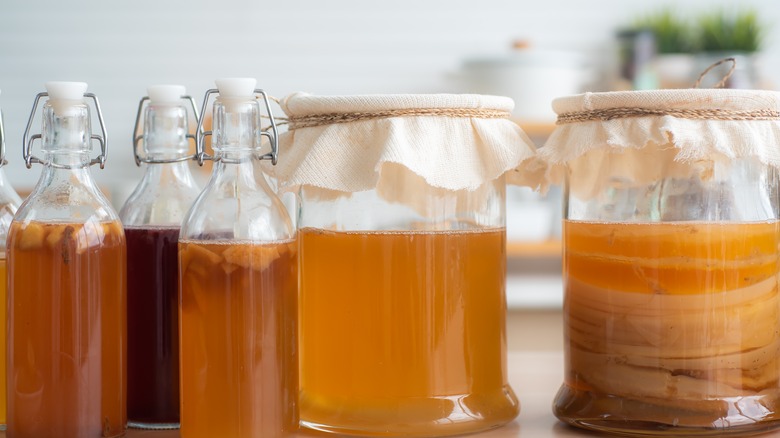 assorted kombucha brews in jars