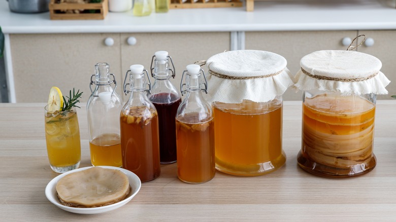 Jars of homemade kombucha